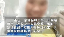 食品工厂爆料怎么做的视频,爆款视频背后的制作过程